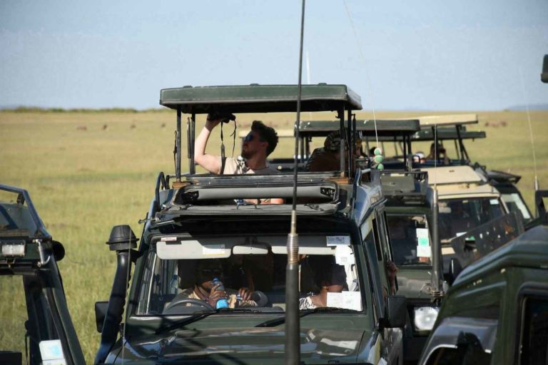 tourist landcruiser