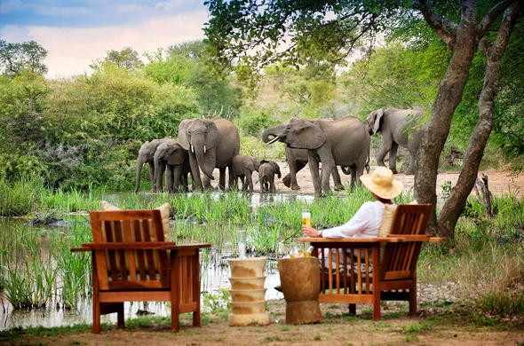 krugernationalpark
