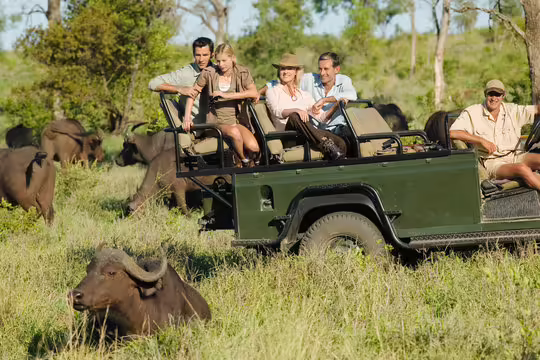 Dentistry and African Safari Adventures