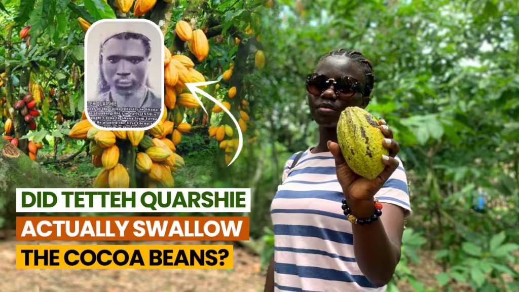 Eburi Gardens, tete Quarshie Cocoa Farm