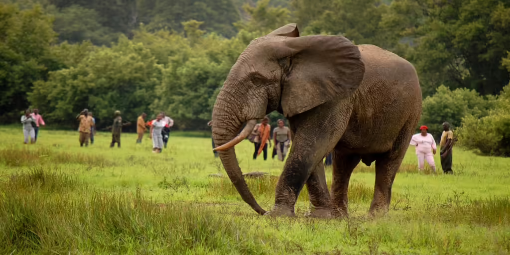 kakuma national park