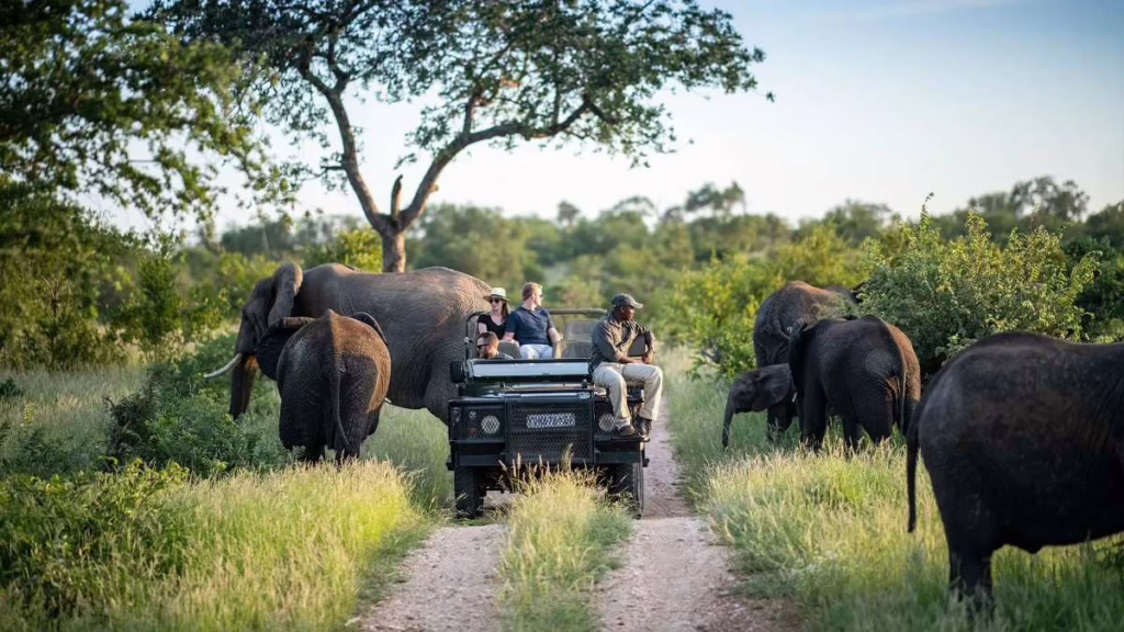kruger-national-park-south-africa.