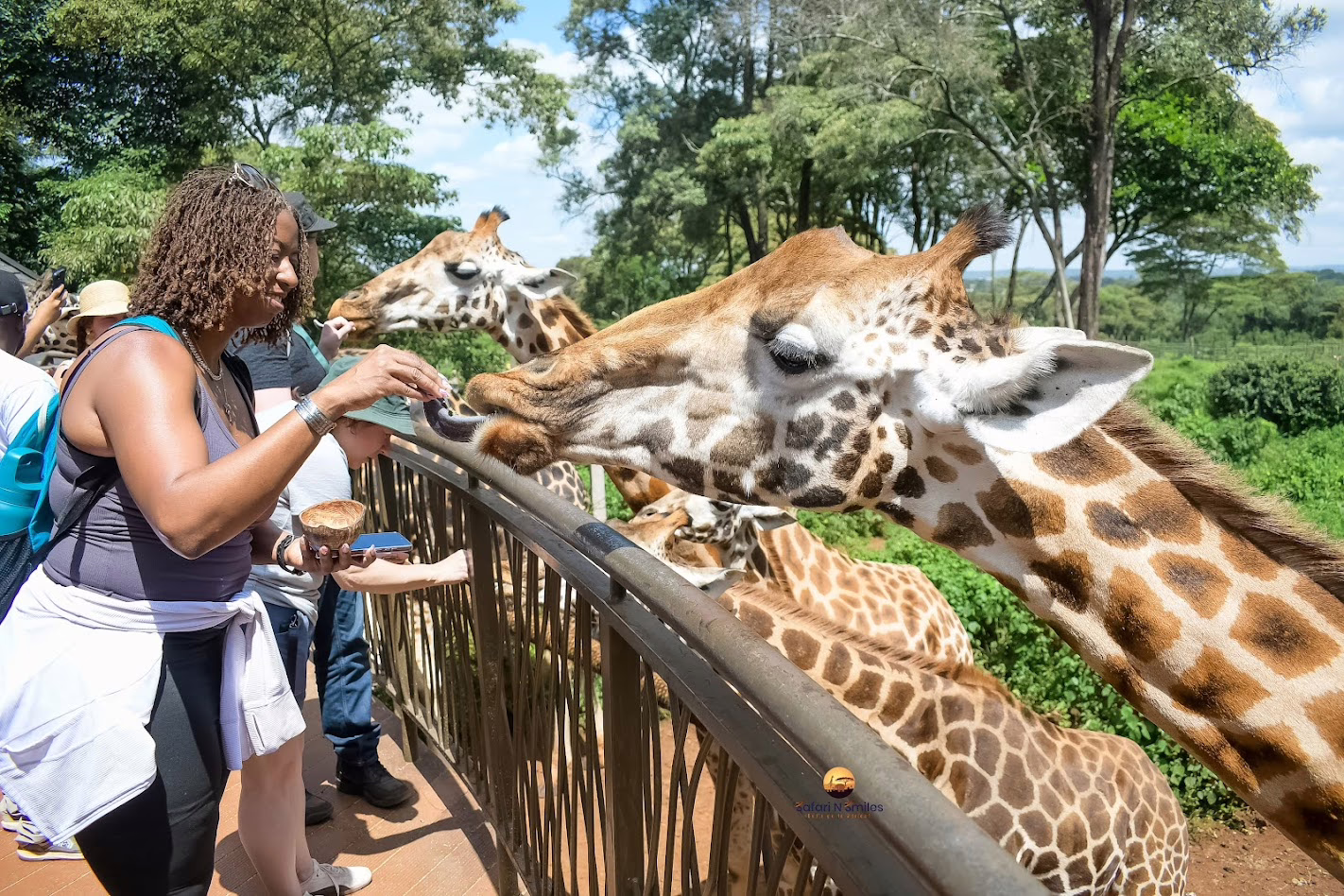 Giraffe center Nairobi