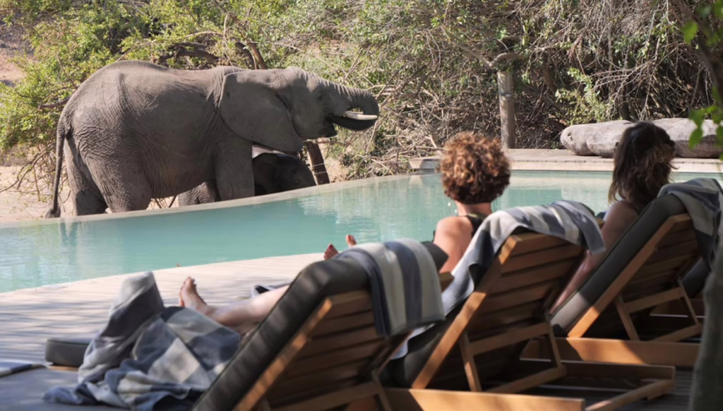 safari lodges