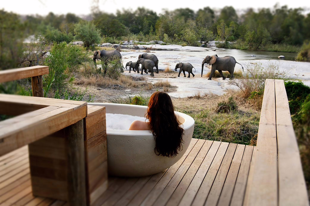 safari lodges
