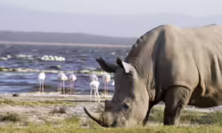Lake-Nakuru-National-Park