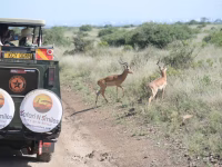 Nairobi Park