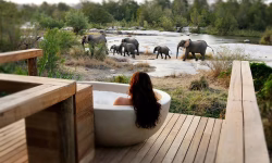 safari lodges